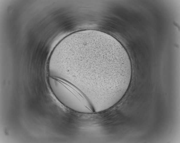 X0000102341056200808221626