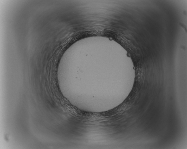 X0000102341057200808221626