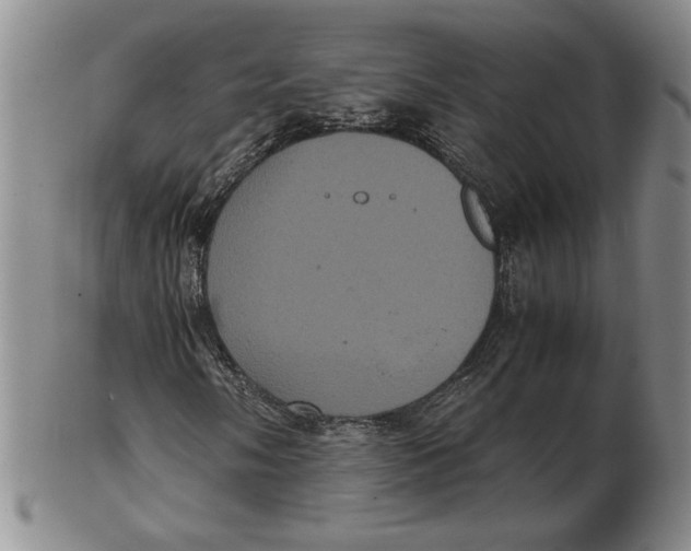 X0000102341058200808221626