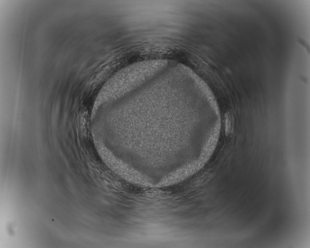 X0000102341059200808221626