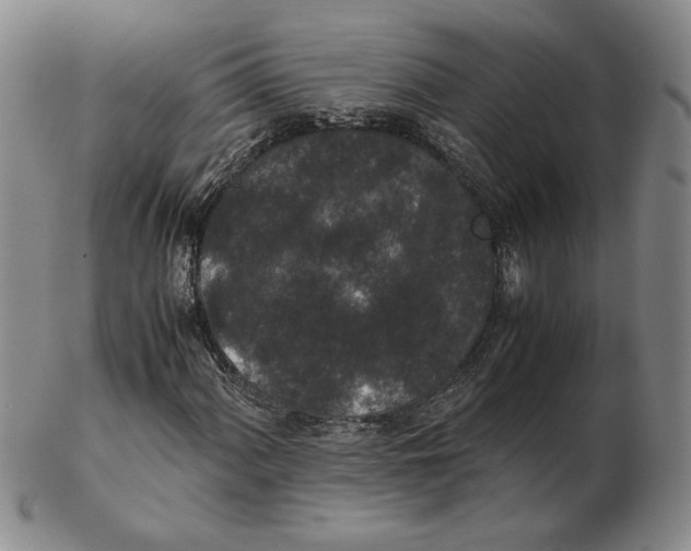 X0000102341060200808221626