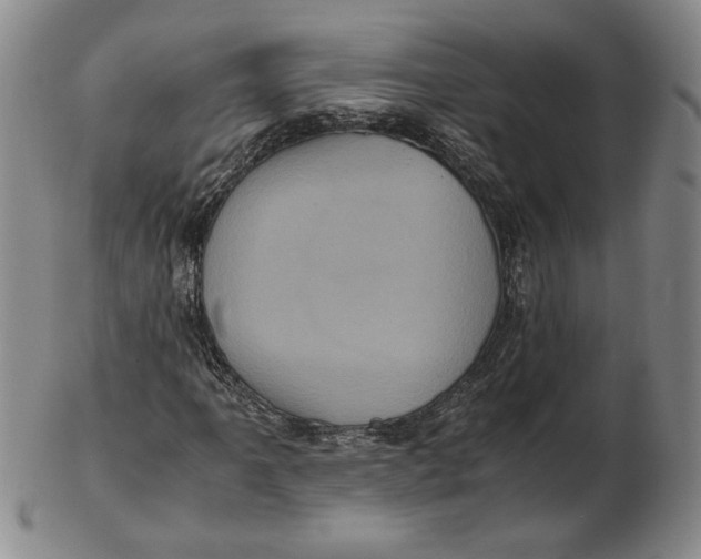 X0000102341061200808221626