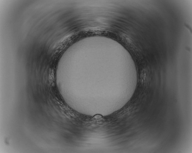 X0000102341062200808221626