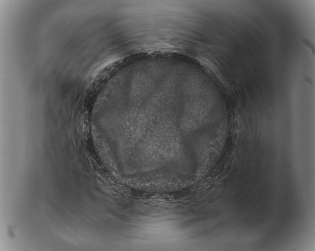 X0000102341063200808221626