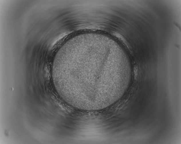 X0000102341064200808221626