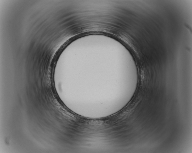 X0000102341068200808221626