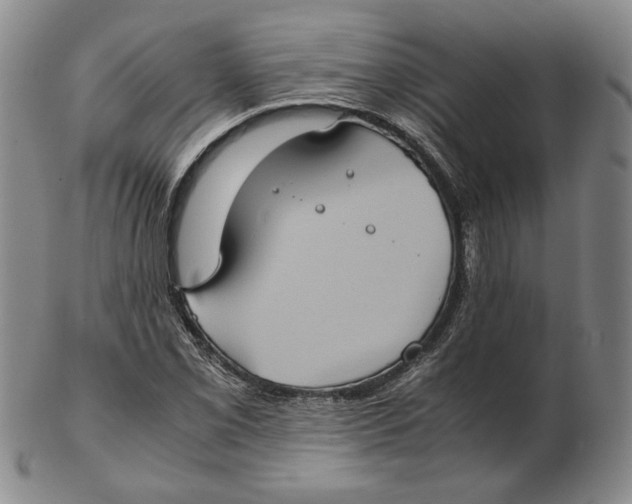 X0000102341069200808221626