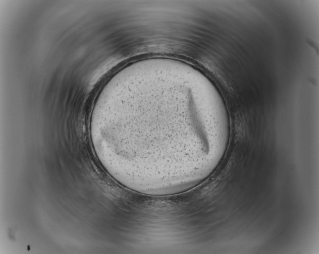 X0000102341070200808221626