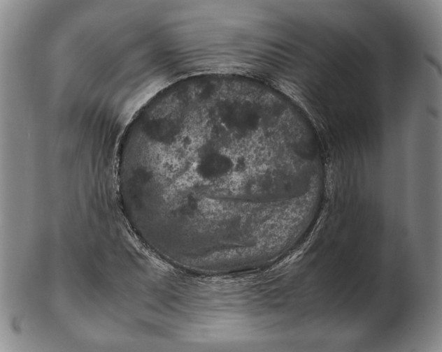 X0000102341071200808221626