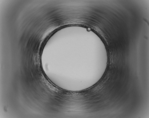 X0000102341072200808221626