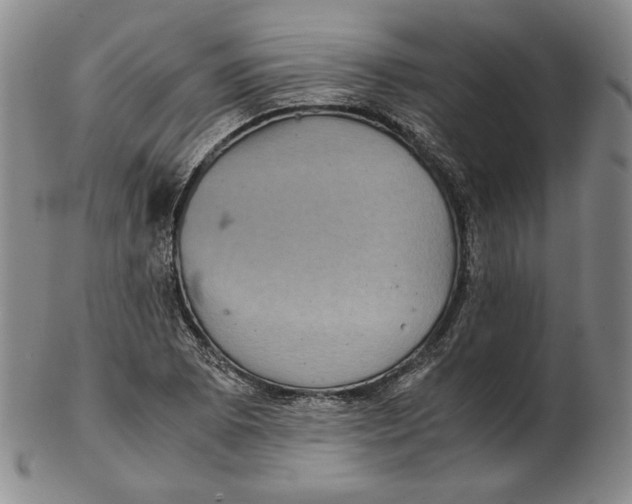 X0000102341073200808221626