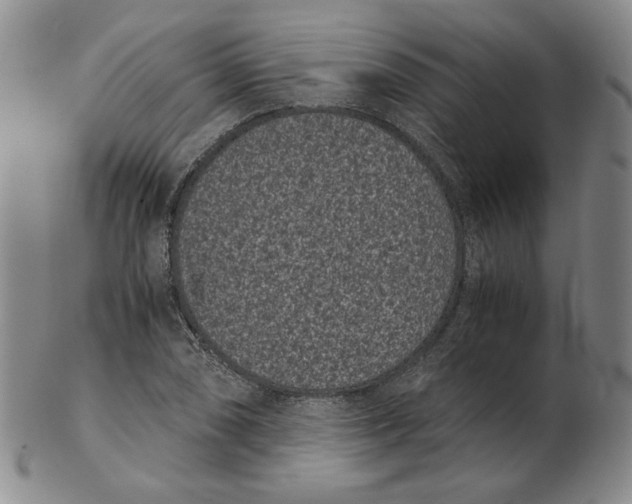 X0000102341074200808221625