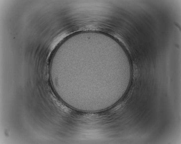 X0000102341075200808221625