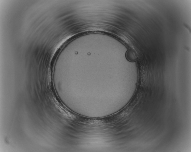 X0000102341076200808221625