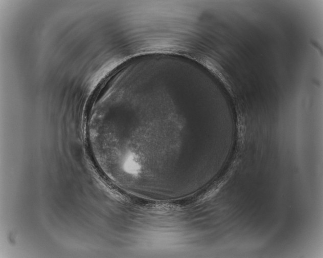 X0000102341077200808221625