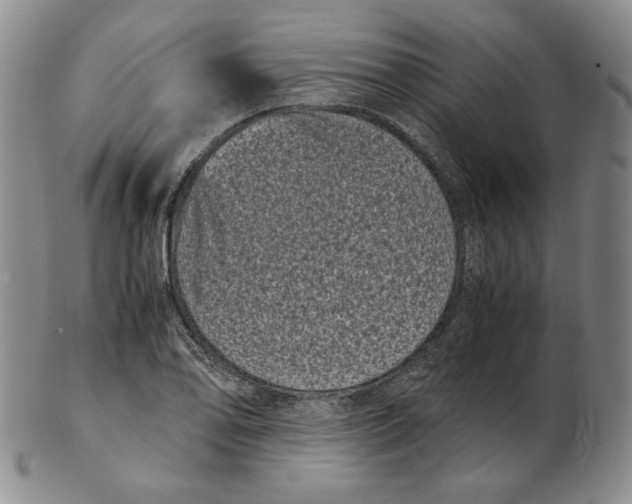 X0000102341078200808221625