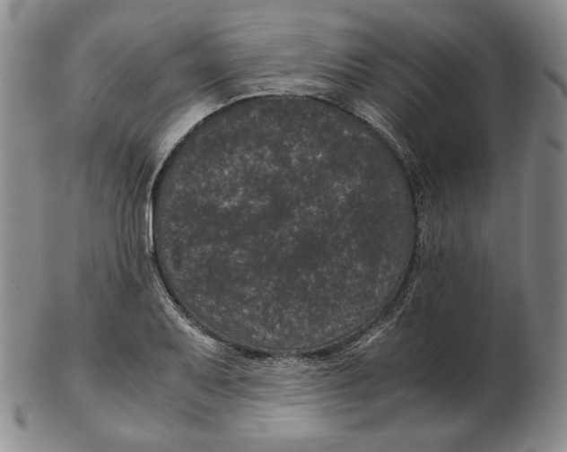 X0000102341079200808221625