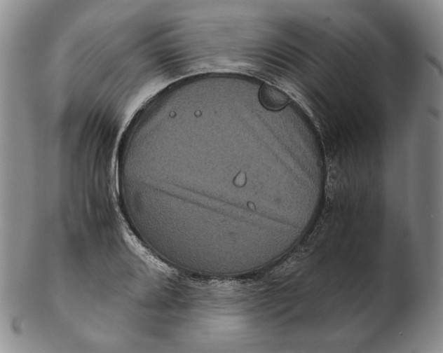 X0000102341080200808221625