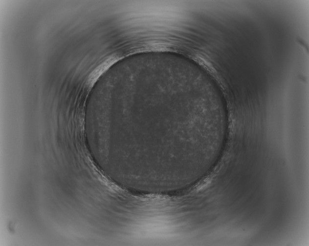 X0000102341081200808221625