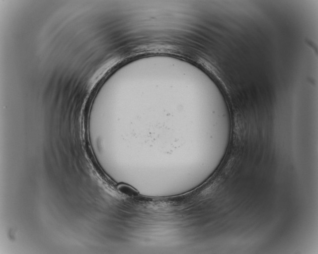 X0000102341082200808221625