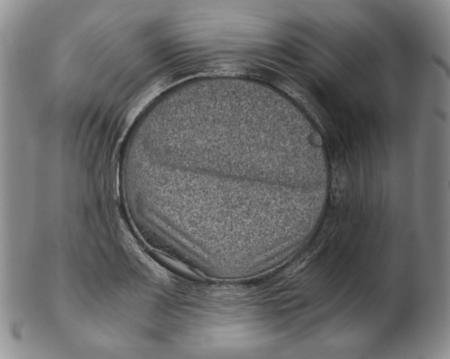 X0000102341083200808221625