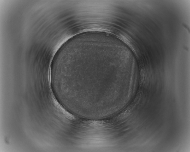 X0000102341084200808221625