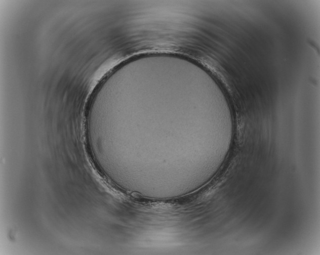 X0000102341085200808221625