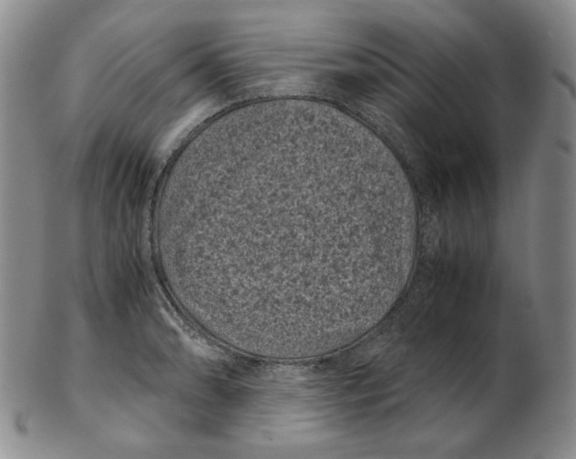 X0000102341086200808221625