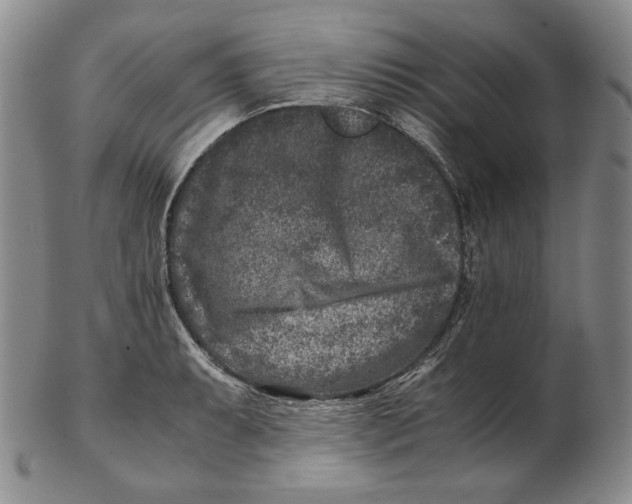 X0000102341087200808221625