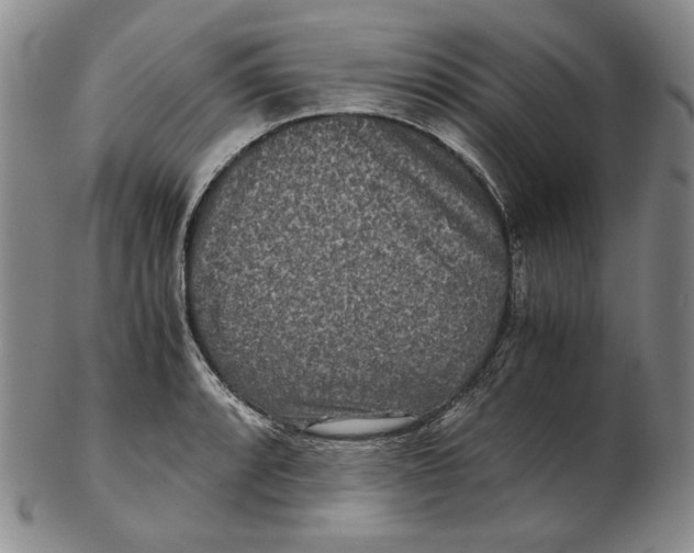 X0000102341088200808221625