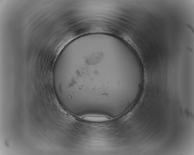 X0000102341089200808221625