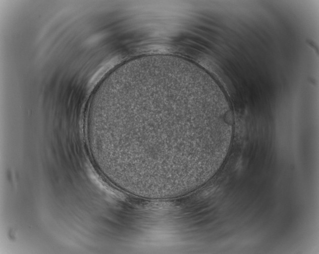 X0000102341090200808221625