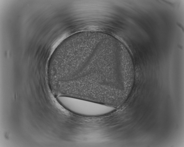 X0000102341091200808221625