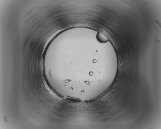 X0000102341092200808221625