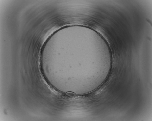 X0000102341093200808221625