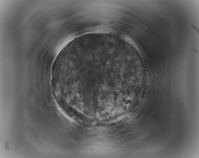 X0000102341095200808221625