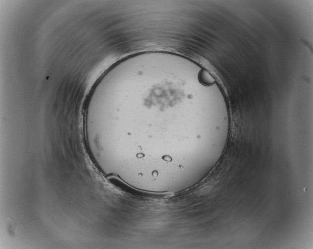 X0000102341096200808221625