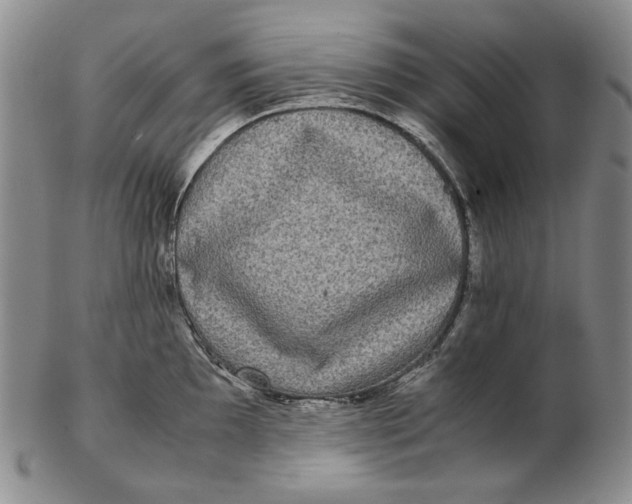 X0000102341097200808221625