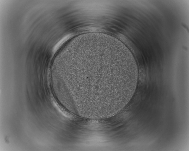 X0000102341098200808221625