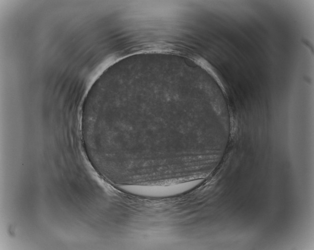 X0000102341099200808221625