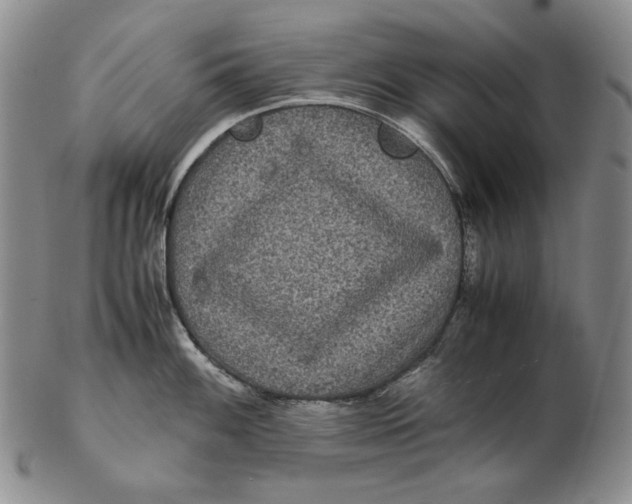 X0000102341100200808221625