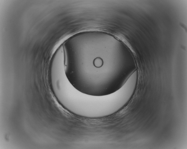 X0000102341101200808221625