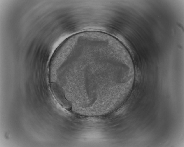 X0000102341102200808221625