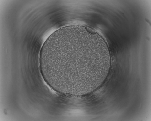 X0000102341103200808221625