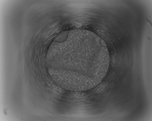 X0000102341105200808221624