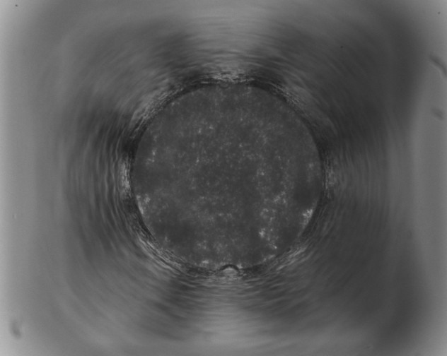 X0000102341106200808221624