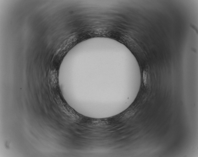 X0000102341107200808221624