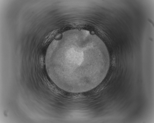 X0000102341108200808221624