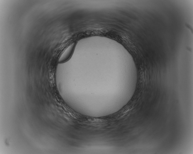 X0000102341109200808221624