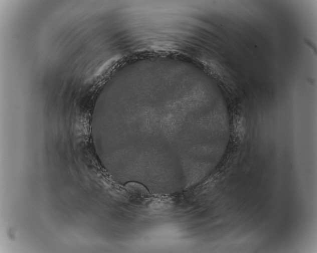 X0000102341110200808221624